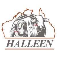 Halleen Australasian Livestock Traders Pty Ltd logo, Halleen Australasian Livestock Traders Pty Ltd contact details