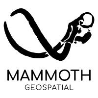 Mammoth Geospatial logo, Mammoth Geospatial contact details