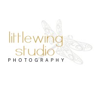 Littlewing Studio logo, Littlewing Studio contact details