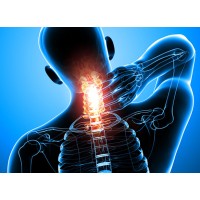 Bay Area Pain and Spine Institute logo, Bay Area Pain and Spine Institute contact details