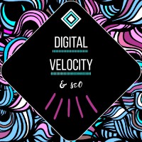 Digital Velocity and SEO LLC logo, Digital Velocity and SEO LLC contact details