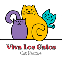 Viva Los Gatos Cat Rescue logo, Viva Los Gatos Cat Rescue contact details