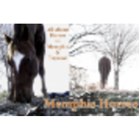 Memphis Horses logo, Memphis Horses contact details