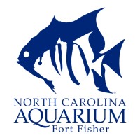 North Carolina Aquarium at Fort Fisher logo, North Carolina Aquarium at Fort Fisher contact details