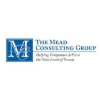 The Mead Consulting Group, Inc logo, The Mead Consulting Group, Inc contact details