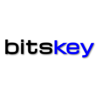 Bitskey Systems logo, Bitskey Systems contact details