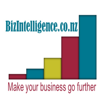 BizIntelligence Ltd logo, BizIntelligence Ltd contact details