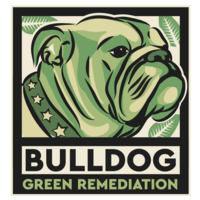 Bulldog Green Remediation, Inc. (BGR) logo, Bulldog Green Remediation, Inc. (BGR) contact details