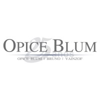 Opice Blum, Bruno e Vainzof Advogados Associados logo, Opice Blum, Bruno e Vainzof Advogados Associados contact details