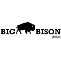 Big Bison Group logo, Big Bison Group contact details