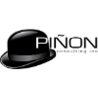 Pinon Consulting, Inc logo, Pinon Consulting, Inc contact details