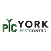 York Pest Control logo, York Pest Control contact details