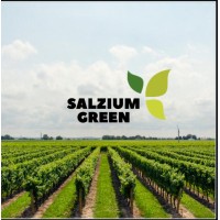 Salzium Green Limited - SGL logo, Salzium Green Limited - SGL contact details