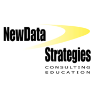 NewData Strategies logo, NewData Strategies contact details