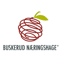 Buskerud Næringshage logo, Buskerud Næringshage contact details