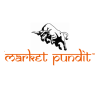 Market Pundit logo, Market Pundit contact details