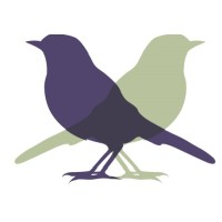 Two Birds Consulting Pty Ltd logo, Two Birds Consulting Pty Ltd contact details