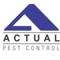 Actual Pest Control logo, Actual Pest Control contact details