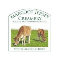 Marcoot Jersey Creamery logo, Marcoot Jersey Creamery contact details