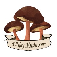 Ellijay Mushrooms logo, Ellijay Mushrooms contact details