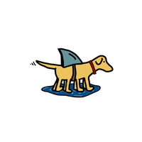 Sharktapuppy logo, Sharktapuppy contact details