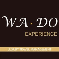 WADO Experience logo, WADO Experience contact details