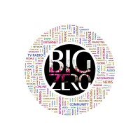 The big zero india logo, The big zero india contact details