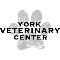 York Veterinary Center logo, York Veterinary Center contact details