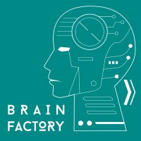 Brain Factory PLC logo, Brain Factory PLC contact details