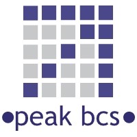 PEAK BCS VENTURES INDIA PRIVATE LIMITED logo, PEAK BCS VENTURES INDIA PRIVATE LIMITED contact details