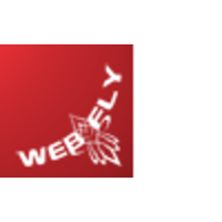 Webfly Solutions logo, Webfly Solutions contact details