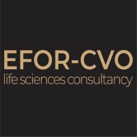 cvo europe logo, cvo europe contact details