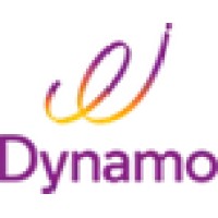 DYNAMO INFO TECHNOLOGIES LLC logo, DYNAMO INFO TECHNOLOGIES LLC contact details