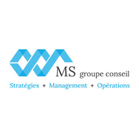 MS Groupe Conseil logo, MS Groupe Conseil contact details