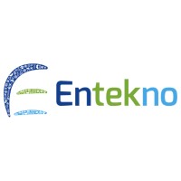 Entekno Global logo, Entekno Global contact details