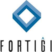 Fortigi Consulting logo, Fortigi Consulting contact details