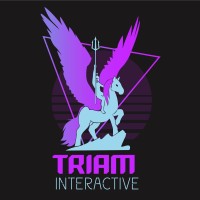 Triam Interactive logo, Triam Interactive contact details