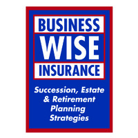 Business Wise Insurance PLLC logo, Business Wise Insurance PLLC contact details