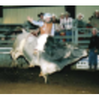 Buck M Jump Ranch logo, Buck M Jump Ranch contact details