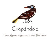 Oropéndola Finca Agroecológica y Jardín Botánico logo, Oropéndola Finca Agroecológica y Jardín Botánico contact details