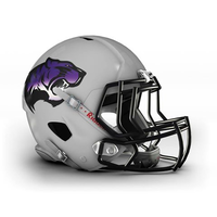 High Point Wildcats Professional Indoor Football logo, High Point Wildcats Professional Indoor Football contact details