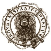 Boykin Spaniel Rescue, Inc. logo, Boykin Spaniel Rescue, Inc. contact details