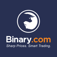 Binary Services Ltd logo, Binary Services Ltd contact details