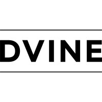 Dvine Smart Homes logo, Dvine Smart Homes contact details