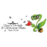 Orgels Orchids logo, Orgels Orchids contact details