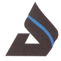 Anjaney Ferro Alloys Ltd logo, Anjaney Ferro Alloys Ltd contact details