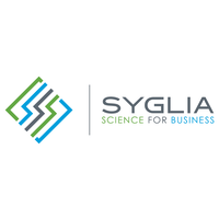 Syglia Consultoria logo, Syglia Consultoria contact details