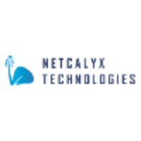 Netcalyx Software Technologies Pvt Ltd logo, Netcalyx Software Technologies Pvt Ltd contact details