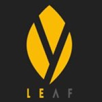 Yellow Leaf Technologies logo, Yellow Leaf Technologies contact details