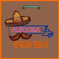 FLECOSA S.A. de C.V. logo, FLECOSA S.A. de C.V. contact details